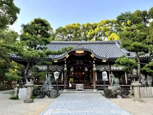02301_1903314n_01.webp